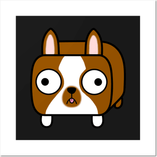 Boston Terrier Loaf - Red Brown and White Dog Posters and Art